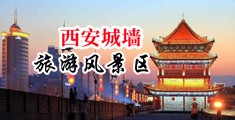 黄片很骚大全中国陕西-西安城墙旅游风景区